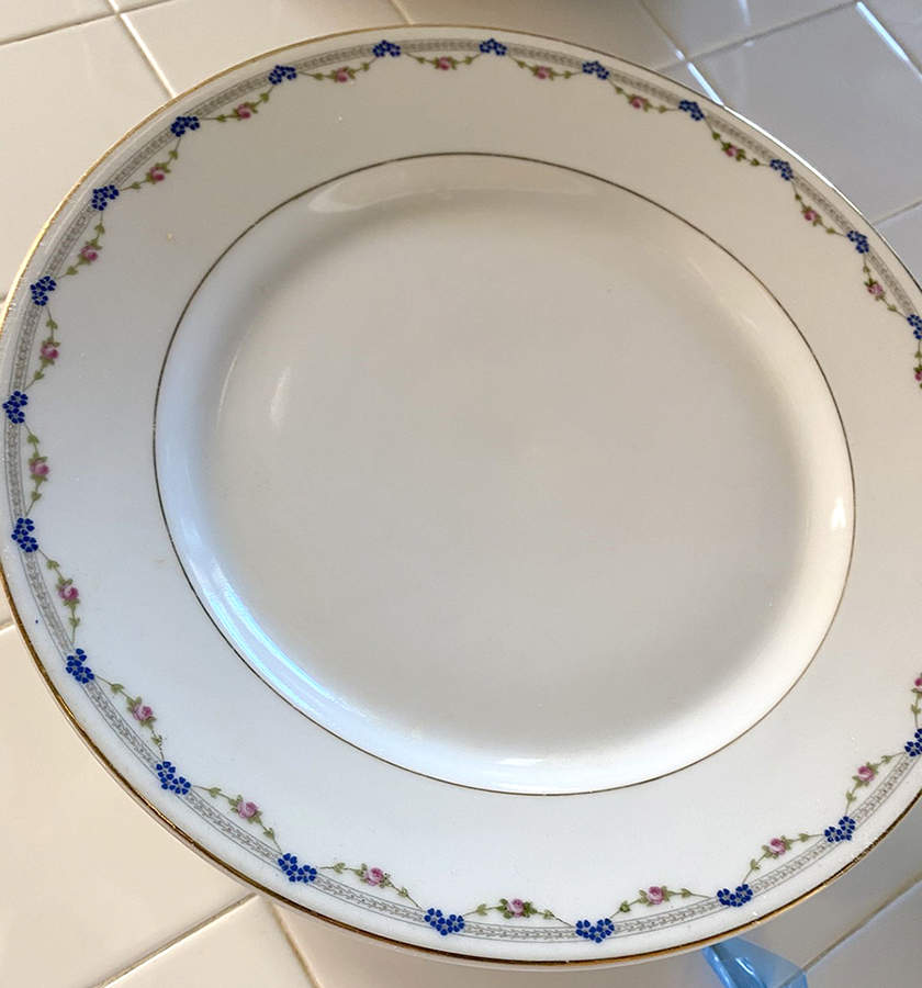 RSC29 Dinner Plate by Royal Schwarzburg-1