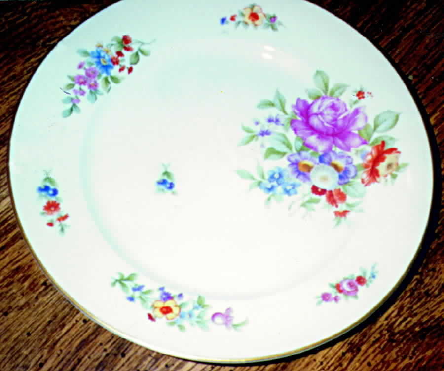 R805 Dinner Plate by Rosenthal - Continental-1