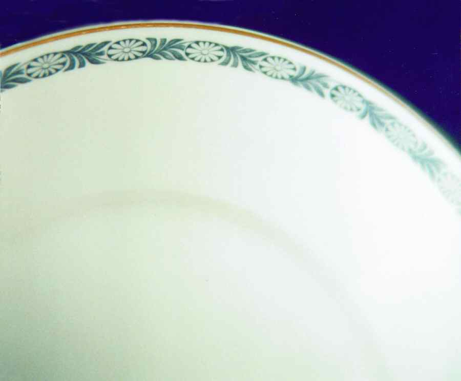 R816 Dinner Plate by Rosenthal - Continental-1