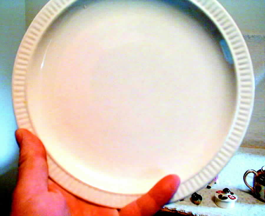 REW8 Salad Plate by Red Wing-1