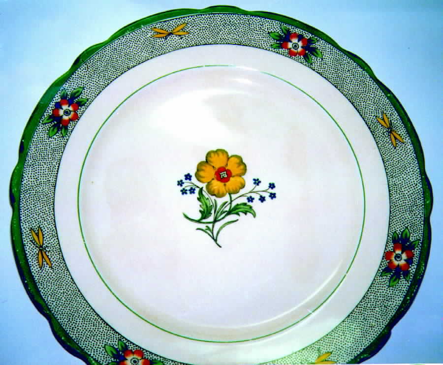 ROC80 Dinner Plate by Royal Cauldon-1
