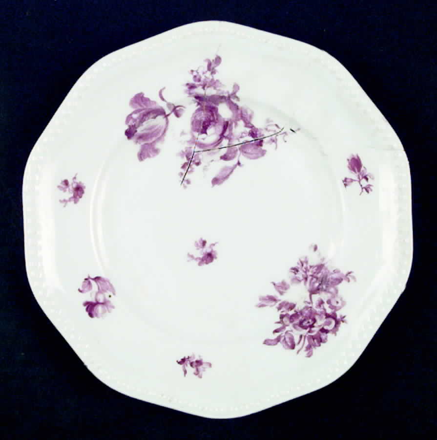 R825 Dinner Plate by Rosenthal - Continental-1