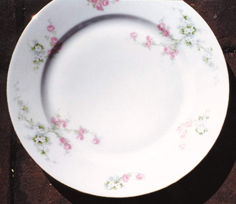 RSC30 Dinner Plate by Royal Schwarzburg-1