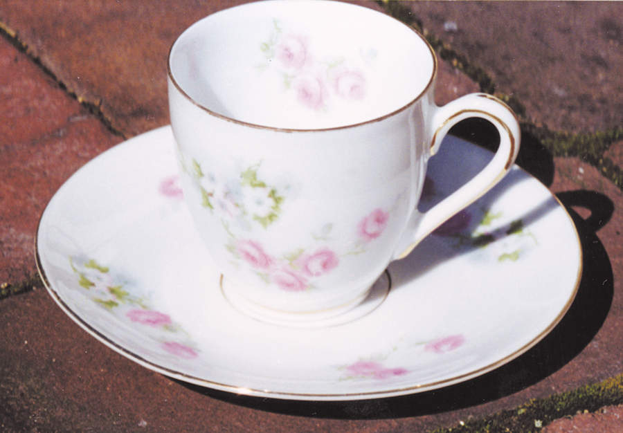 RSC30 Footed Cup & Saucer Set by Royal Schwarzburg-1