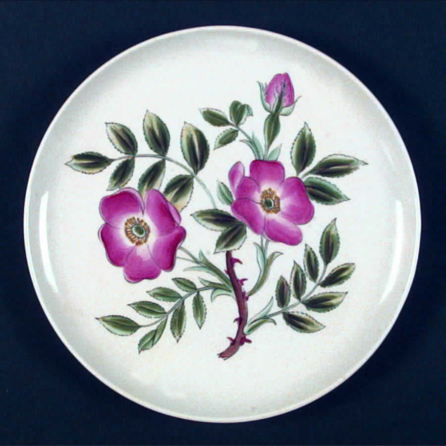 Flora Salad Plate by Rorstrand-1