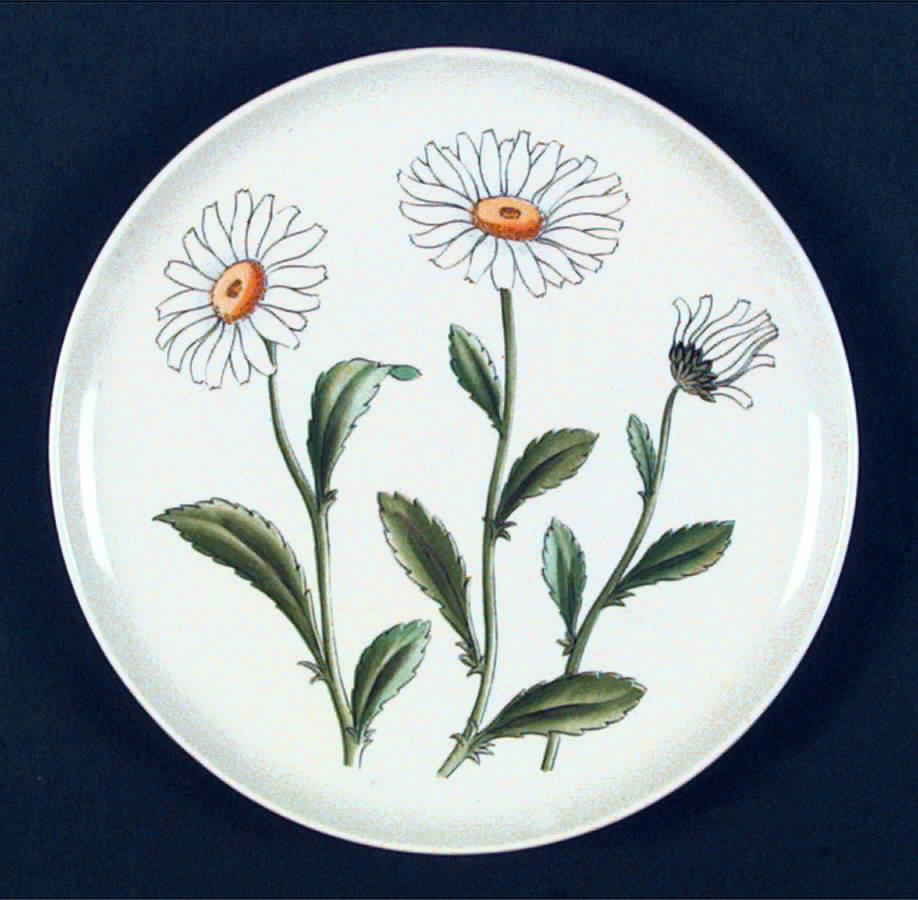 Flora Salad Plate by Rorstrand-1