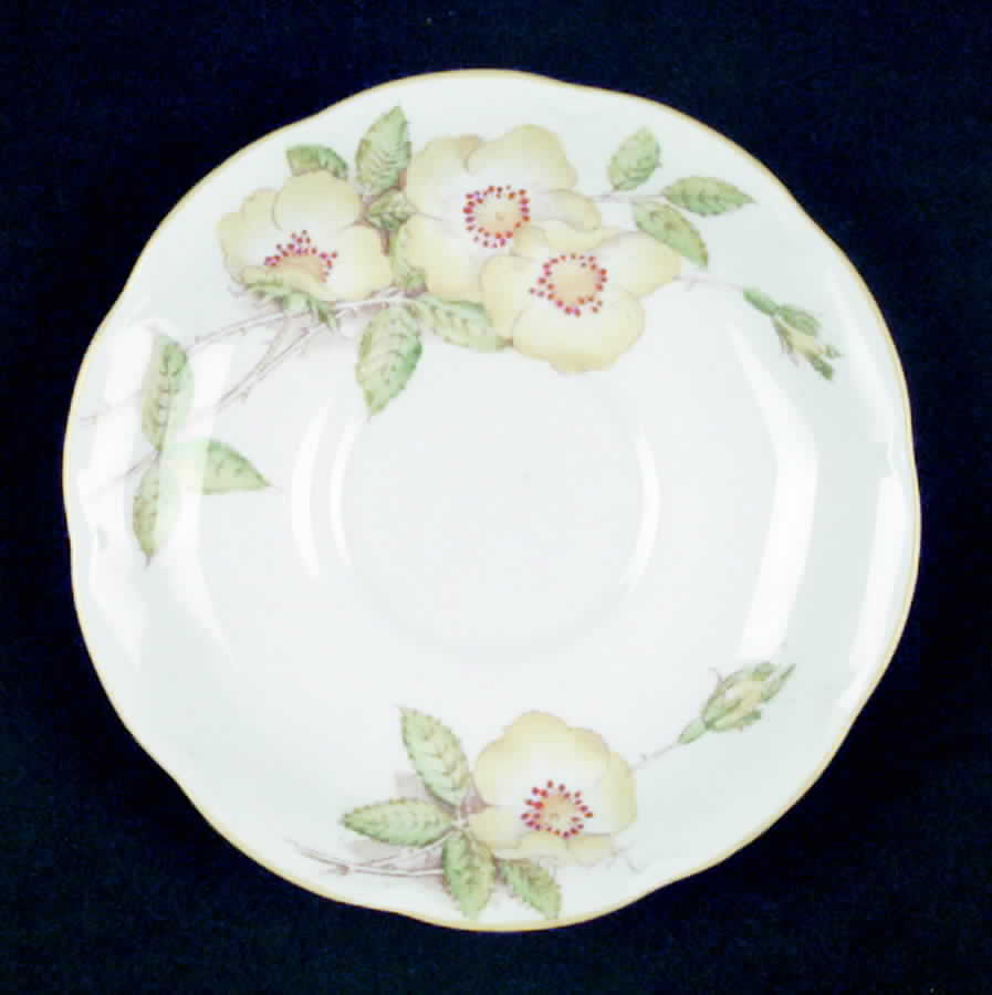 Wild Rose Saucer by Royal Albert-1