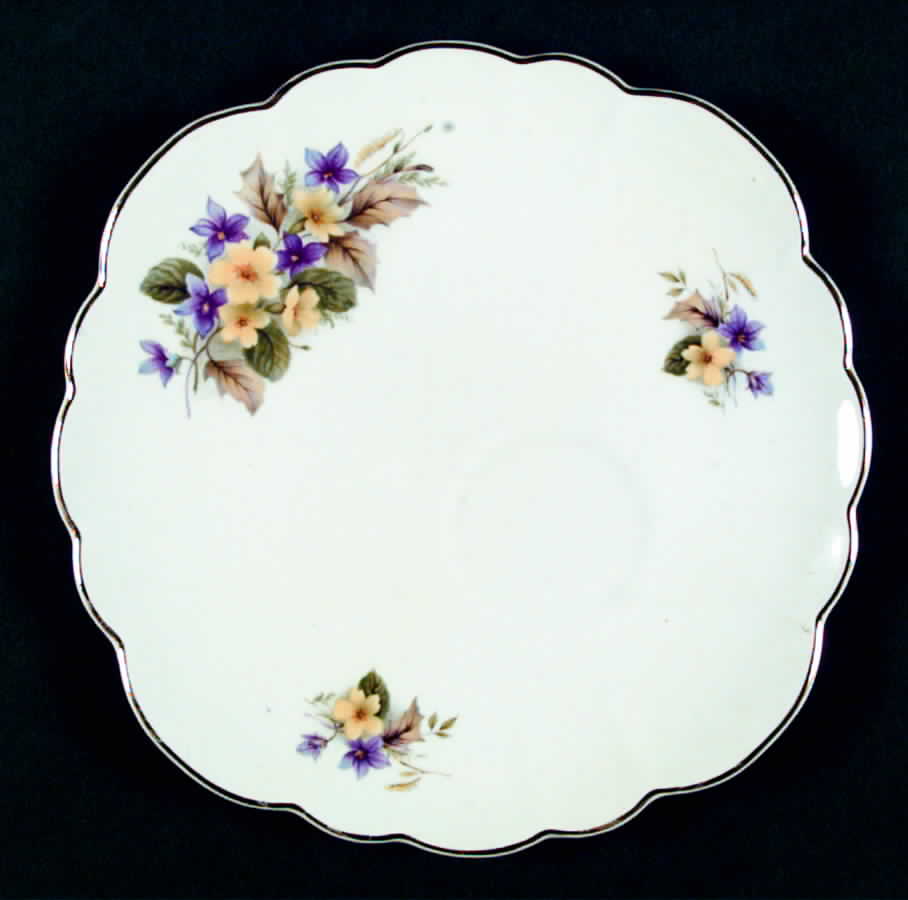 RIA29 Snack Plate by Rosina-Queens-1