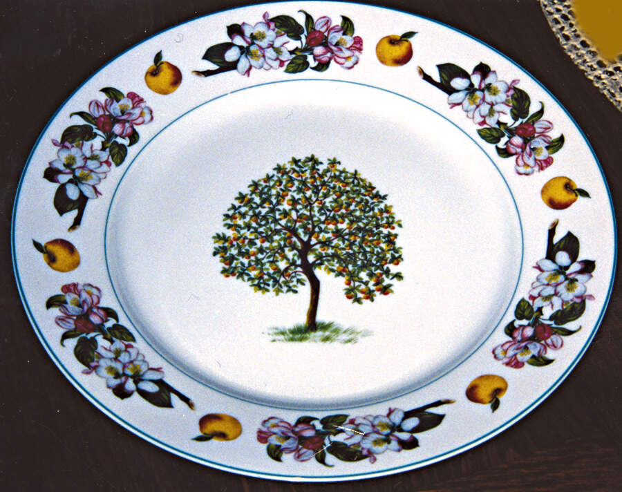 Fruit Orchard Dinner Plate by Rochard-1