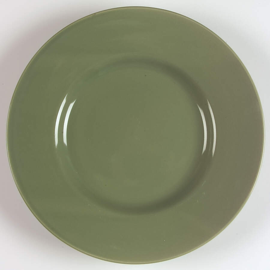 Garcia Moss (Glossy) Dinner Plate by Retroneu-1