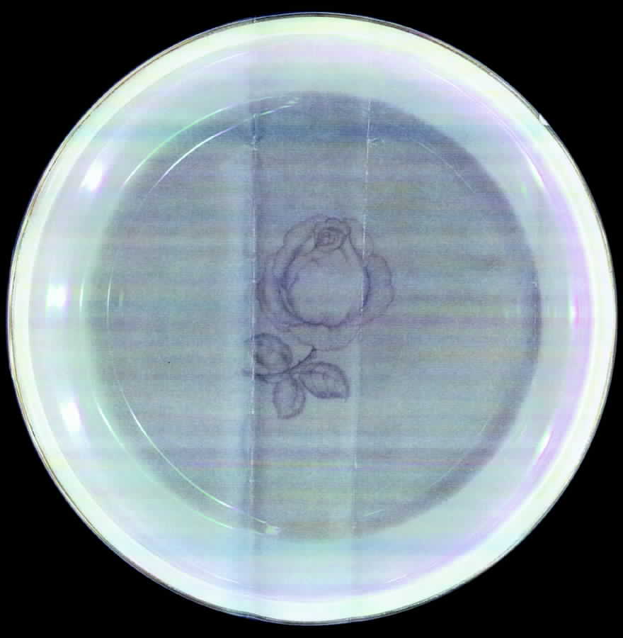 900 Dinner Plate by Rosenthal - Continental-1
