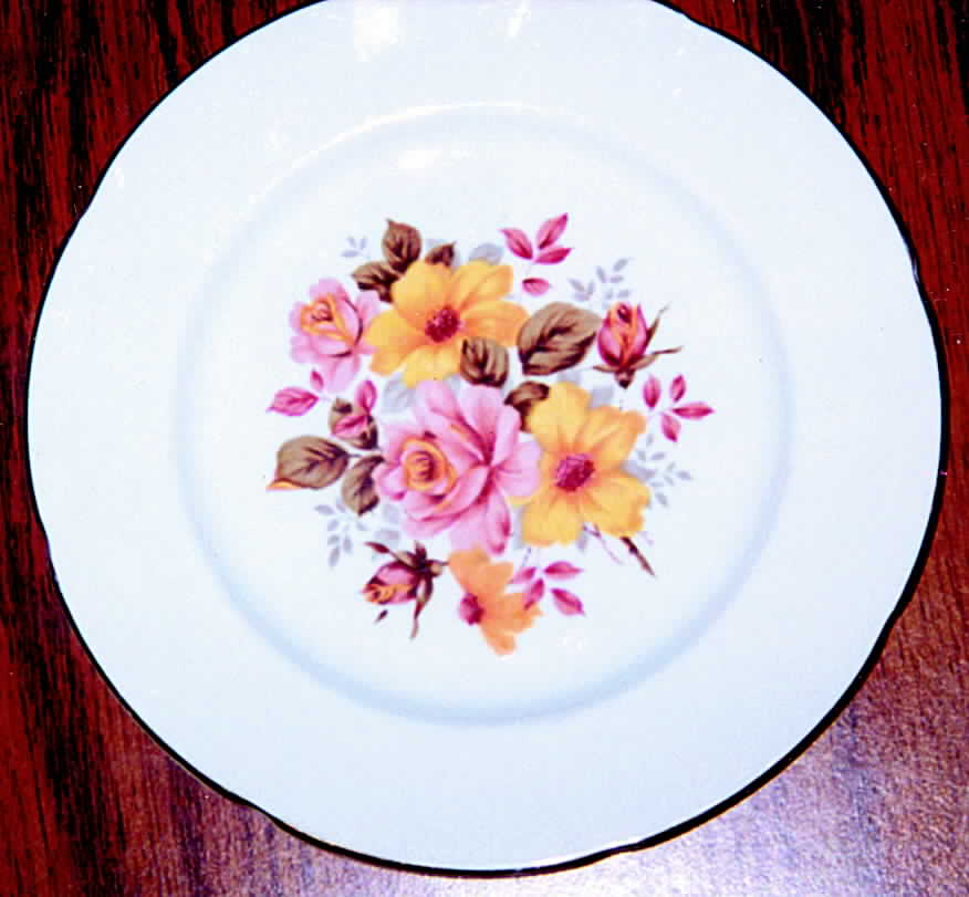 RGR41 Luncheon Plate by Royal Grafton-1