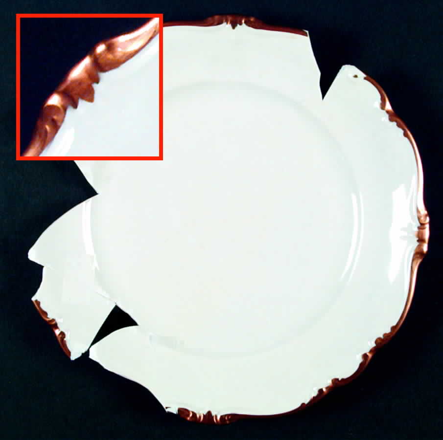 R869 Dinner Plate by Rosenthal - Continental-1