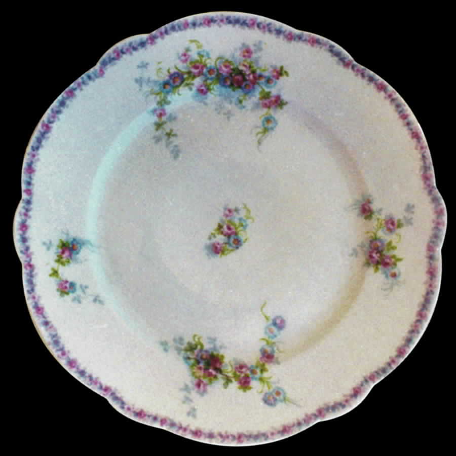 RDN69 Dinner Plate by M Redon-1