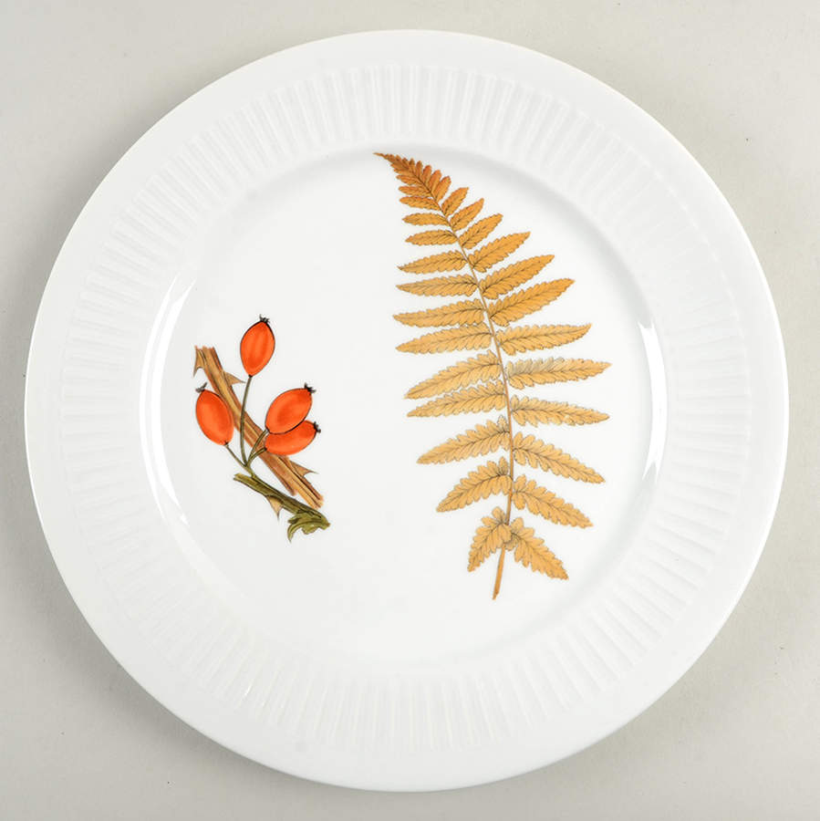 Shelton Orchard (No Verge) Dinner Plate by Royal Worcester-1