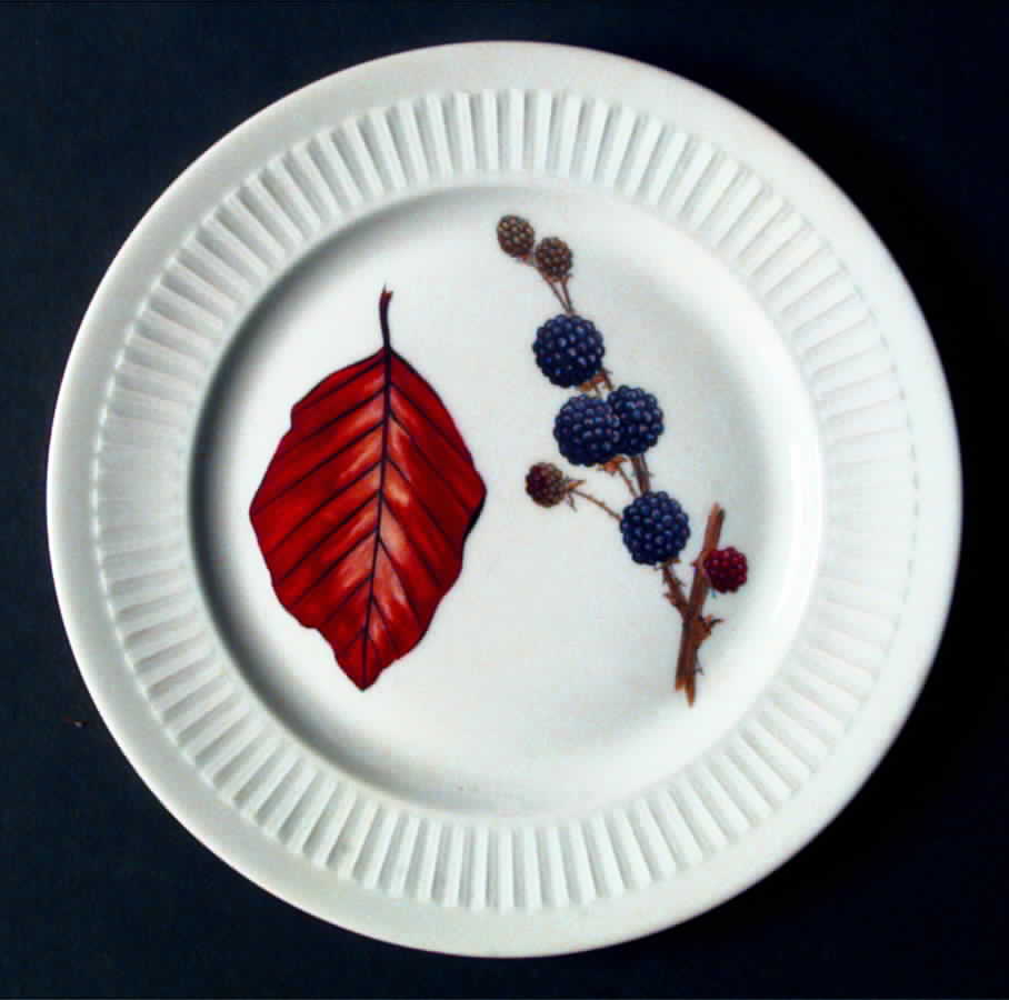 Shelton Orchard (No Verge) Salad Plate by Royal Worcester-1