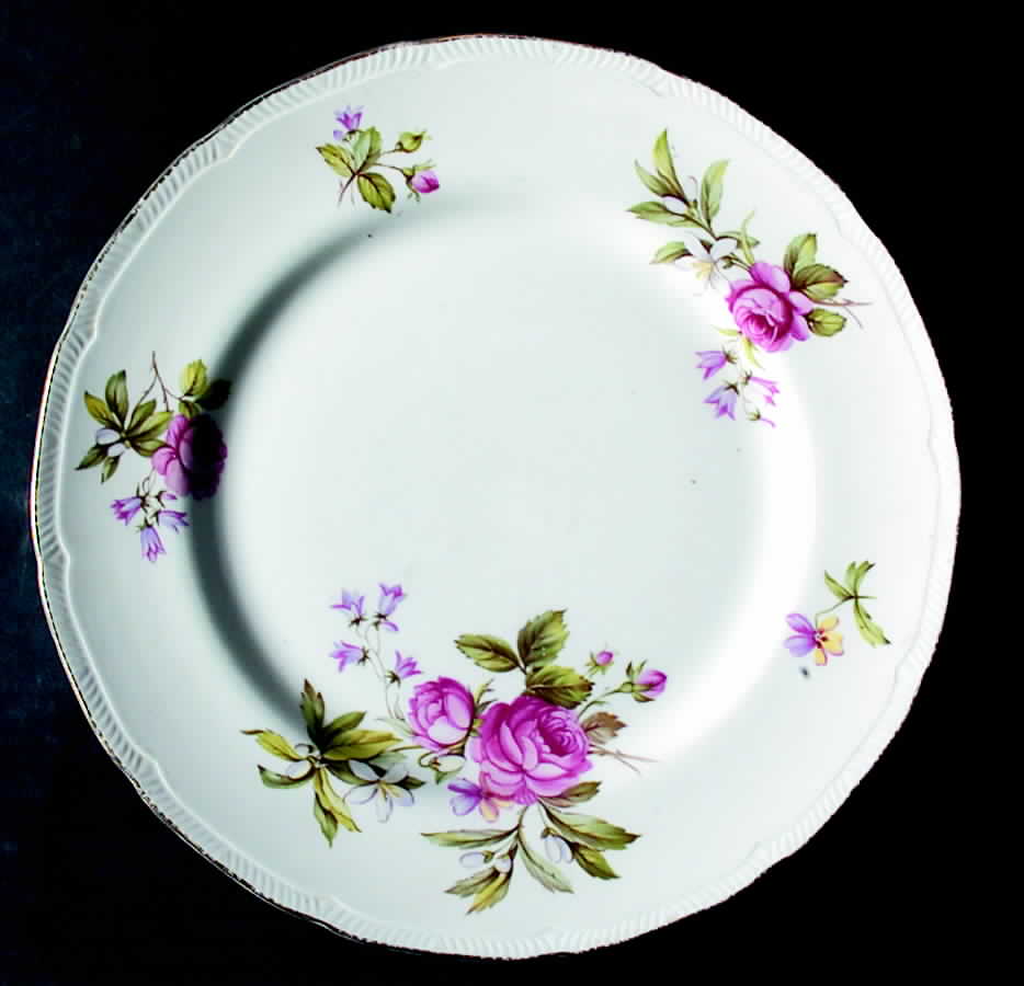 Summer Glory Dinner Plate by Ridgway (Ridgways)-1