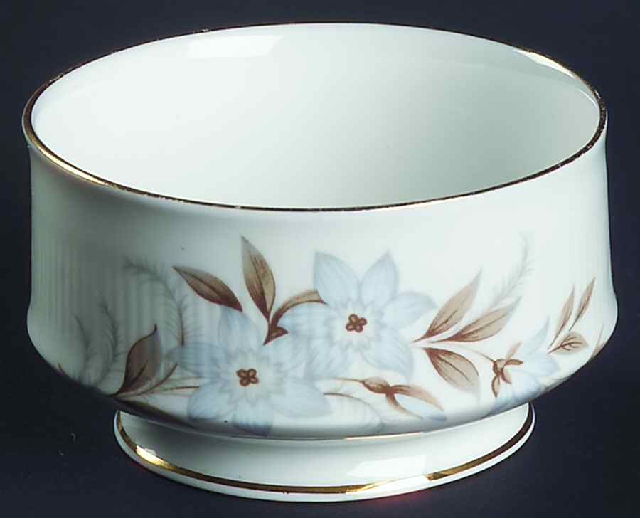 Dawn Mini Open Sugar Bowl by Royal Standard-1