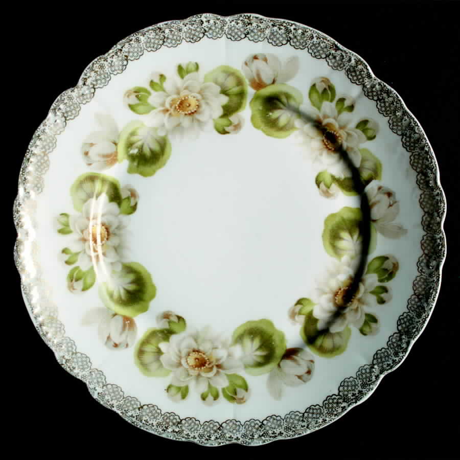 Water Lily Salad Plate by Rosenthal - Continental-1