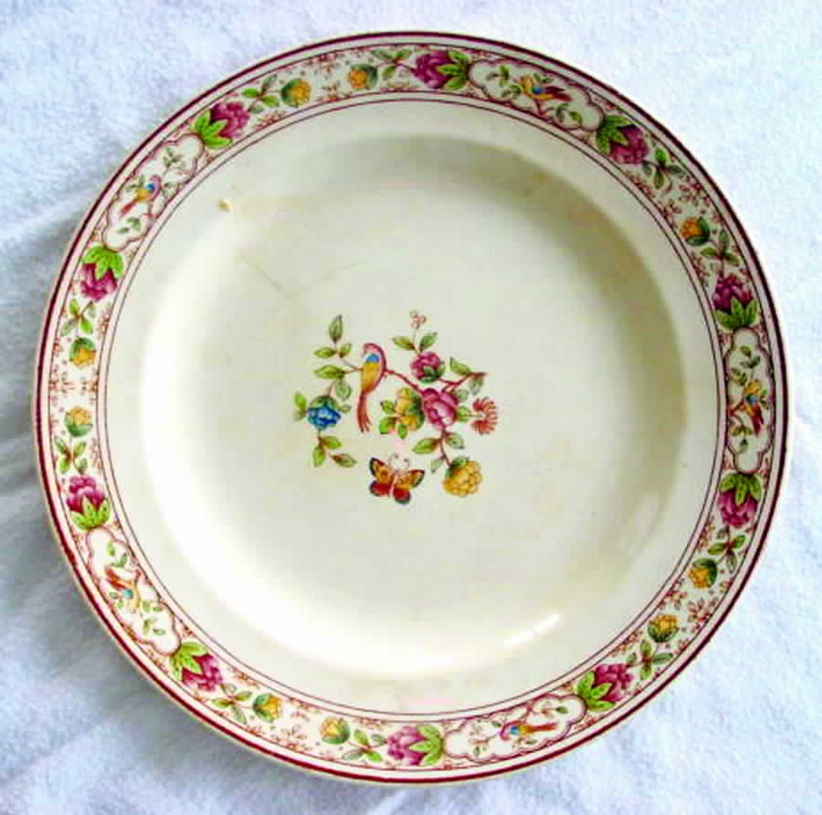 ROC82 Dinner Plate by Royal Cauldon-1