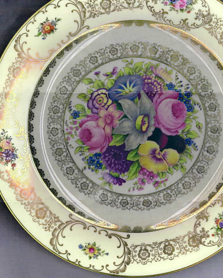 2101 Dinner Plate by Rosenthal - Continental-1