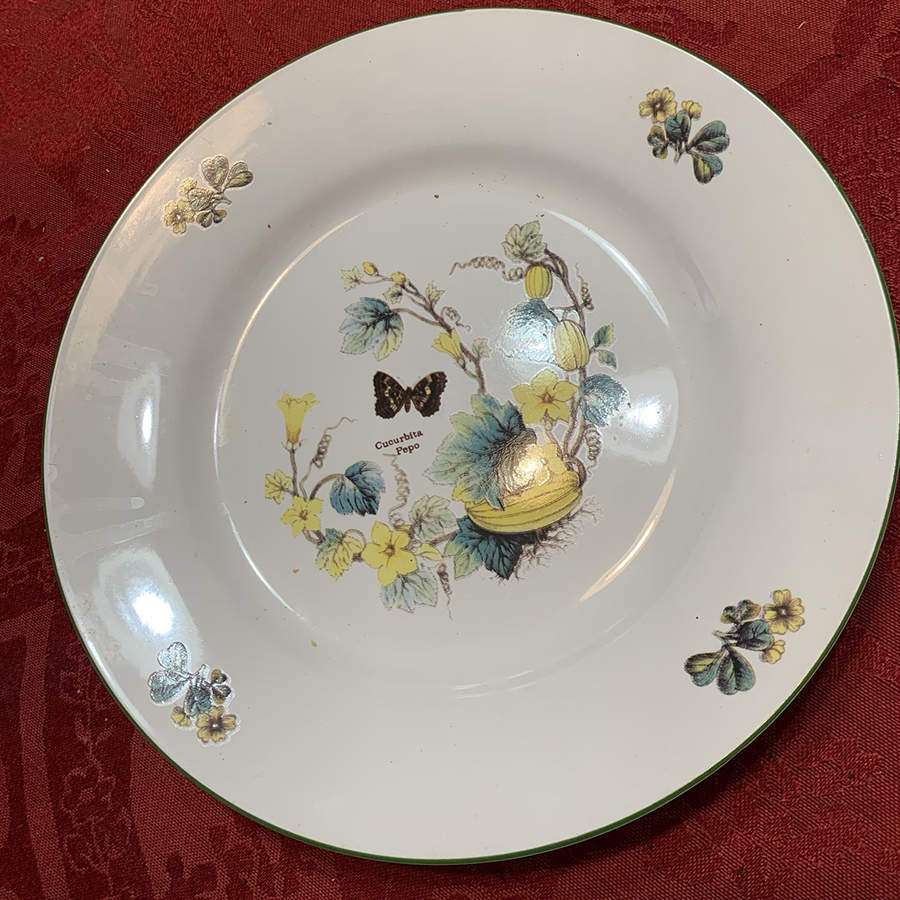 RLO1 Dinner Plate by Royal Oak-1