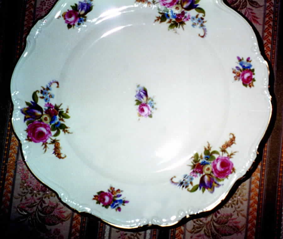 R879 Dinner Plate by Rosenthal - Continental-1