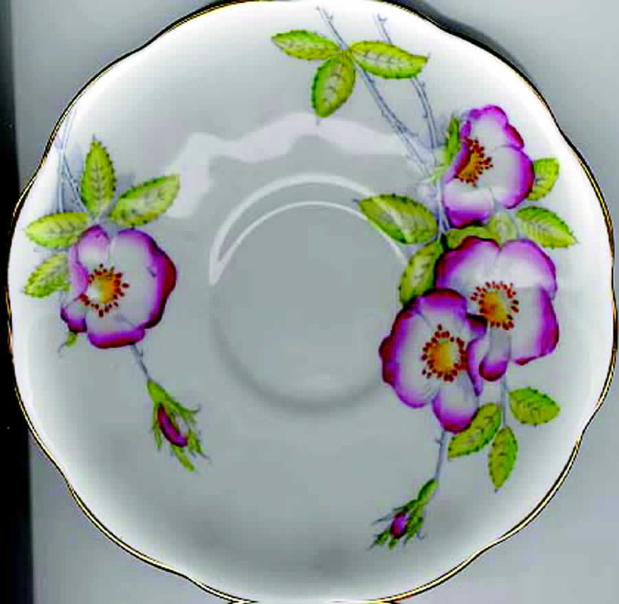 Wild Rose Saucer by Royal Albert-1