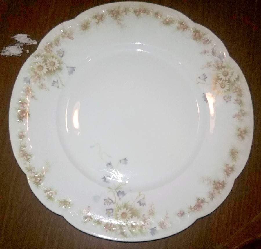 R881 Dinner Plate by Rosenthal - Continental-1