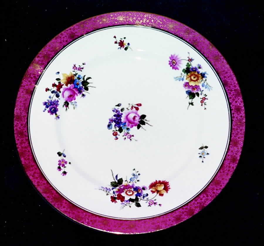 Sharon Dinner Plate by Royal Cauldon-1