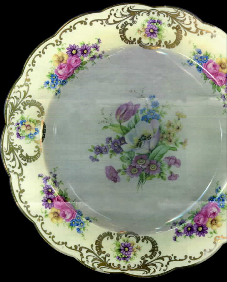 ROB218 Dinner Plate by Royal Bayreuth-1