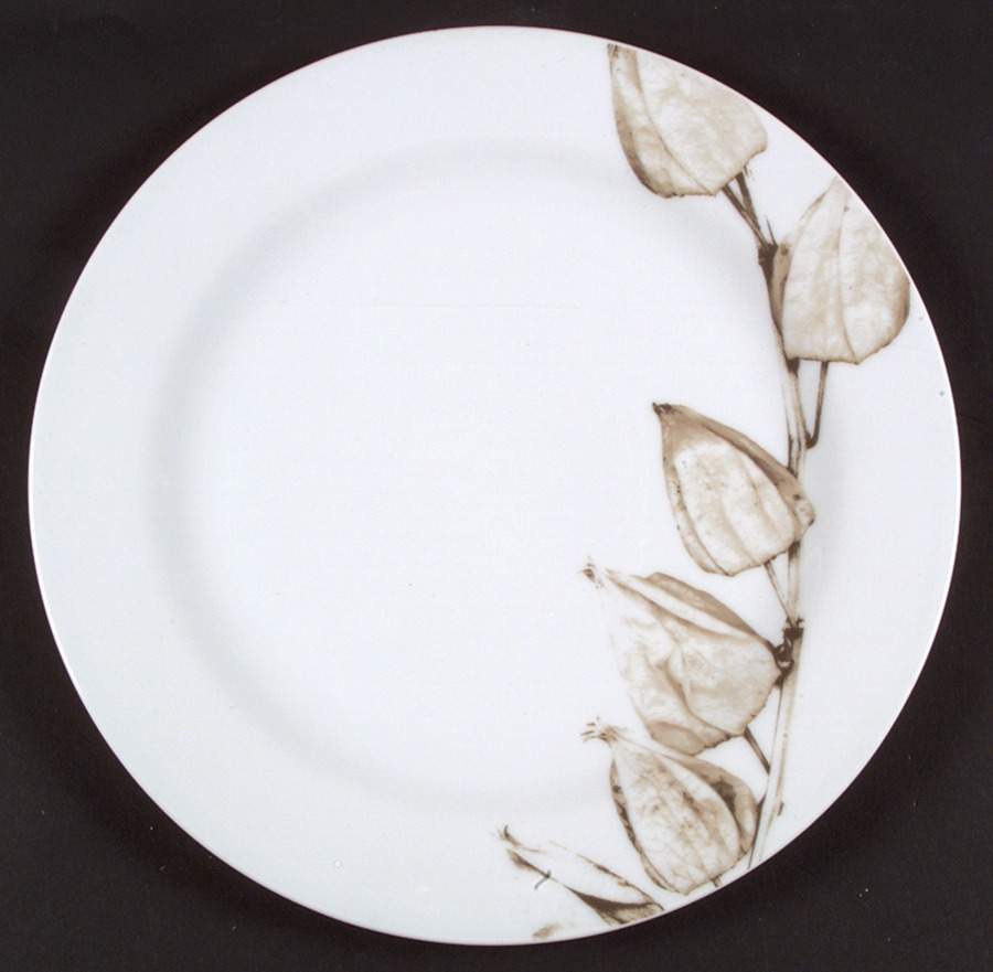 Moon Light One Service Plate (Charger) by Rosenthal - Continental-1