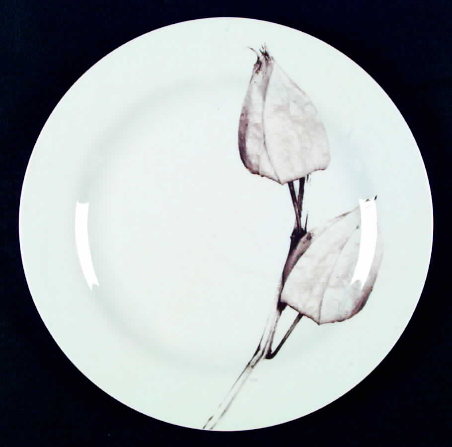 Moon Light One Dinner Plate by Rosenthal - Continental-1