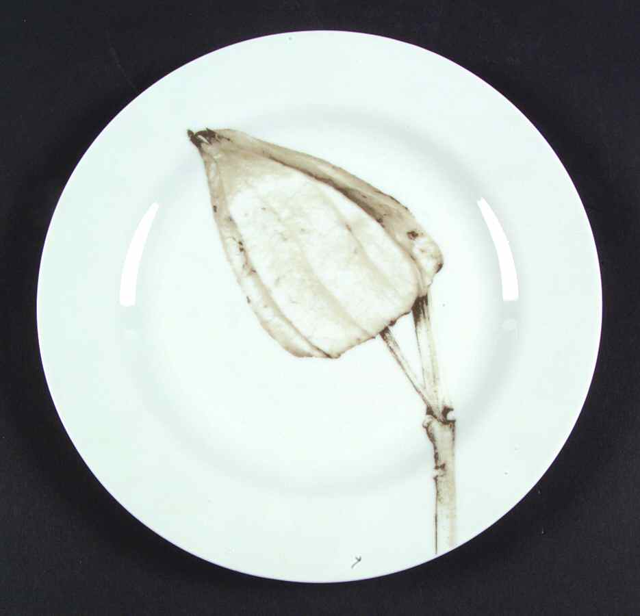 Moon Light One Salad/Dessert Plate by Rosenthal - Continental-1