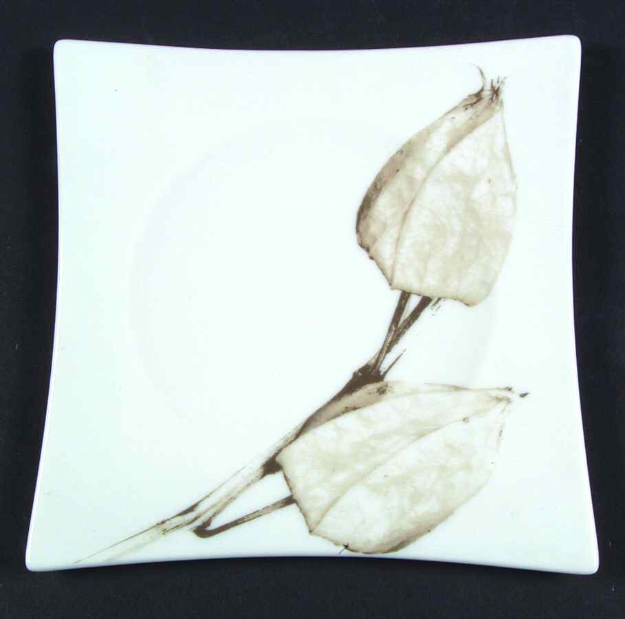 Moon Light One Square Accent Salad Plate by Rosenthal - Continental-1