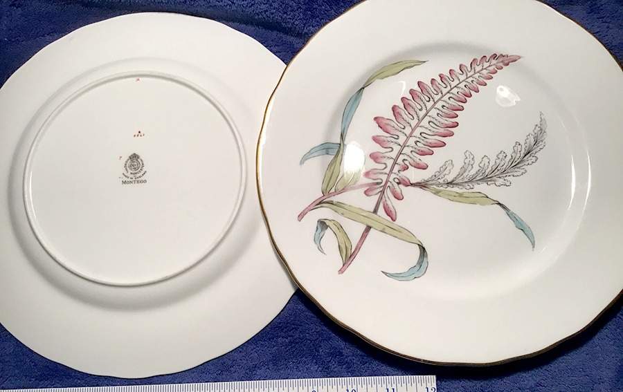 Montego Dinner Plate by Royal Worcester-1