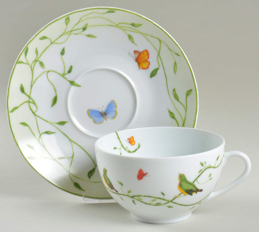 Histoire Naturelle Breakfast Cup & Saucer Set by Raynaud-1