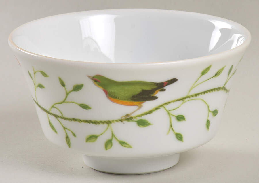 Histoire Naturelle Asian Flat Cup by Raynaud-1