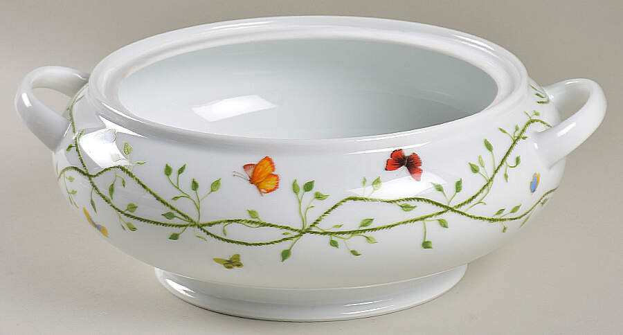 Histoire Naturelle Tureen No Lid by Raynaud-1