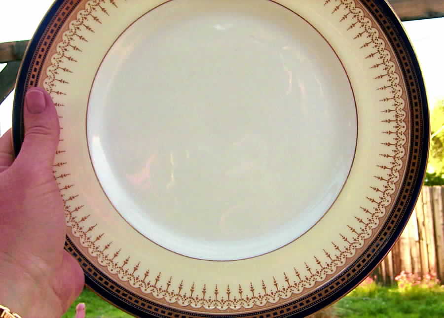 RA6738 Dinner Plate by Royal Doulton-1