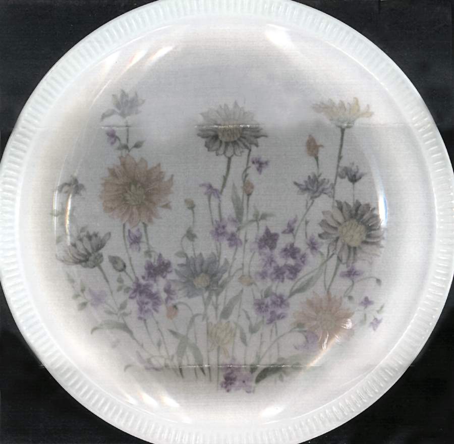 RDG2 Dinner Plate by Ridgewood-1
