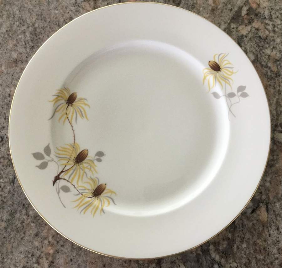 Siesta Dinner Plate by Rosenthal - Continental-1