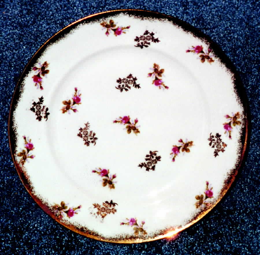 RSY9 Dinner Plate by Royal Sealy-1