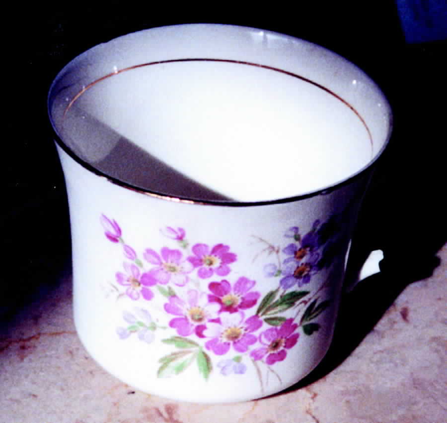6551 Flat Cup by Royal Vale-1