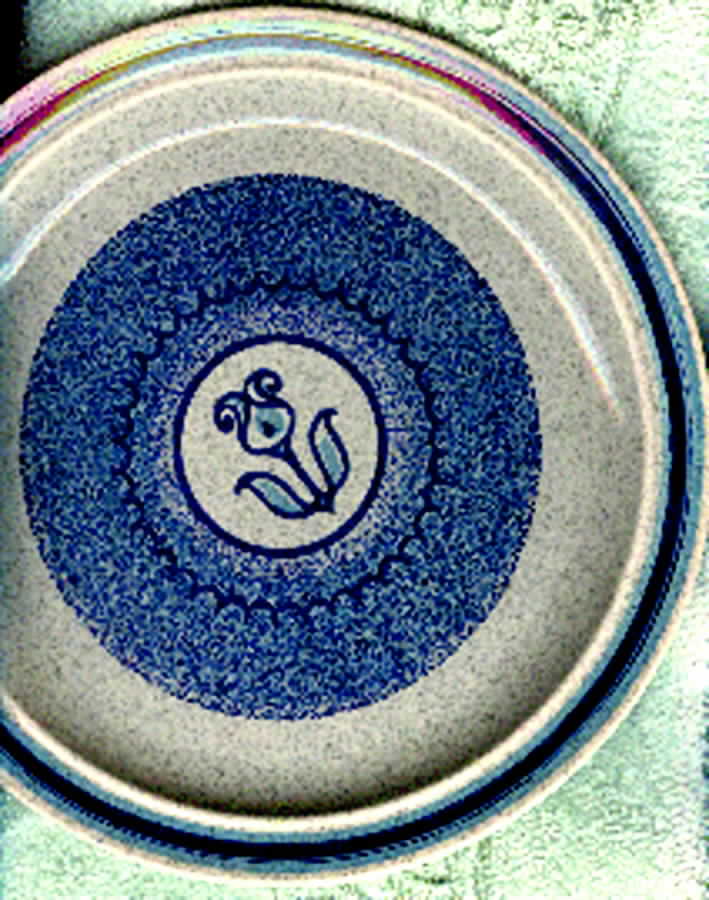 RYL140 Dinner Plate by Royal (USA)-1