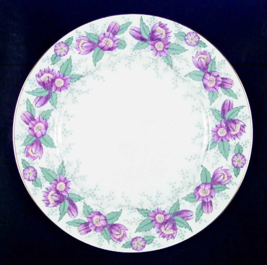 Sussex Dinner Plate by Royal Cauldon-1