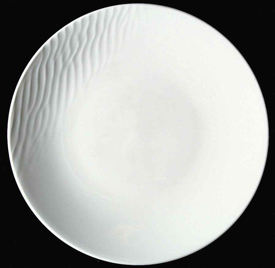 Touch Dinner Plate by Royal Doulton-1