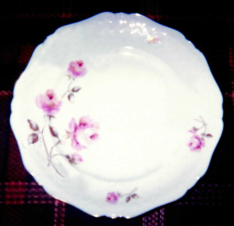 RPR5 Dinner Plate by Royal Princess-1