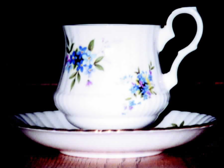 3251 Footed Cup & Saucer Set by Royal Windsor-1