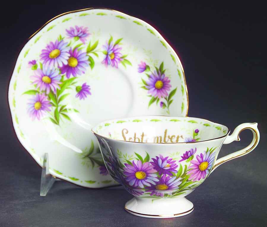 Flower of The Month (Newer, Hampton) Footed Cup & Saucer Set by Royal Albert-1
